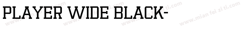 Player Wide Black字体转换